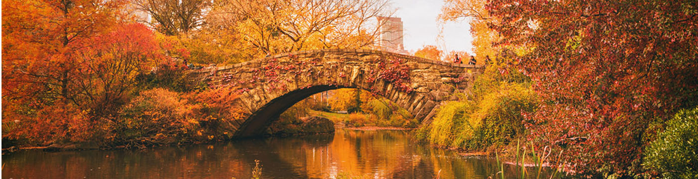 Verdura-Jewelry-CentralPark-Banner